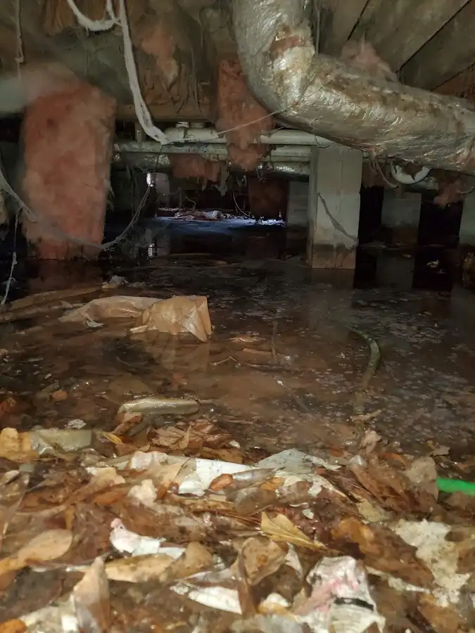 Crawl space flood assessment for Leak Detection & Repair in Lowell